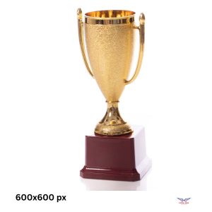 Cúp Thể Thao Kim Loại Cho Các Giải Đấu