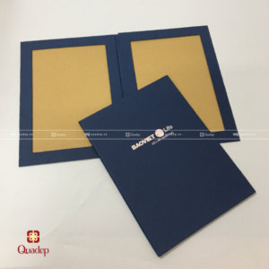 Bìa bằng tốt nghiệp bảo việt (1)