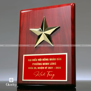 Kỷ niệm chương gỗ đồng