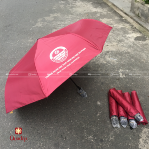 du-gap-3-in-logo-dai-hoc-su-pham