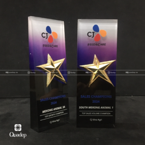 Alternative view of Kỷ Niệm Chương Pha Lê Nguyên Khối