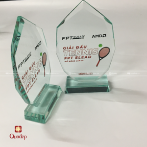 Kỷ Niệm Chương Thủy Tinh - Gải Đấu Tennis FPT ELEAD