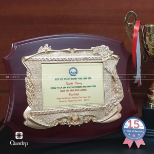 bảng tri ân nhà tài trợ khung gỗ đồng hiệp hội doanh nghiệp