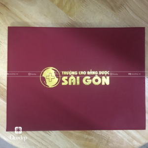 bìa Cao đẳng dược Sài Gòn