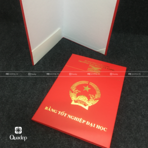 bìa bằng đại học cửu long (1)