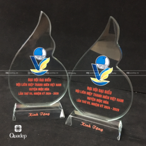 Hội Liên Hiệp Thanh Niên Việt Nam - Cúp Lưu Niệm