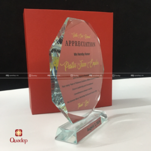 Alternative view of Kỷ Niệm Chương Pha Lê Hình Tròn