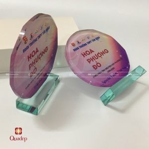 Alternative view of Kỷ Niệm Chương Tri Ân - Đoàn Trường THPT Tân Bình