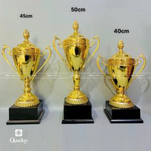 Alternative view of Cúp Kim Loại Lưu Niệm