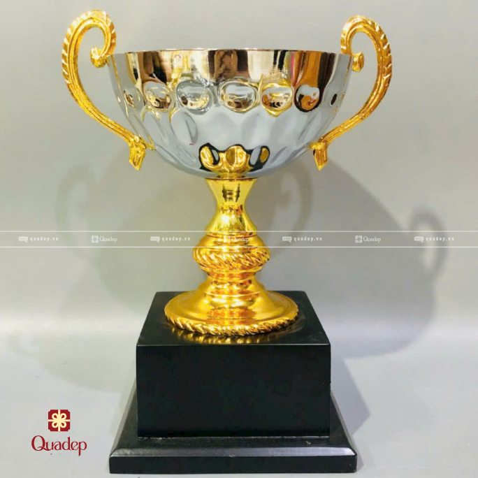 Cúp Trao Giải Lưu Niệm - Ảnh 5