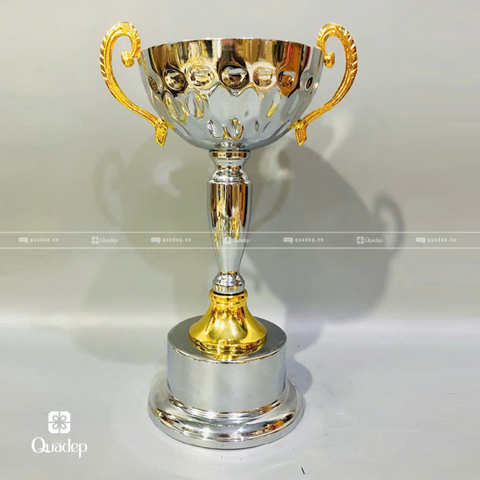 Cúp Trao Giải Lưu Niệm - Ảnh 2