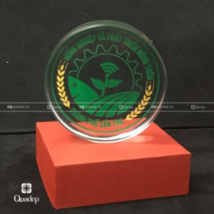 Trophy Lưu Niệm Chặn Giấy Để Bàn