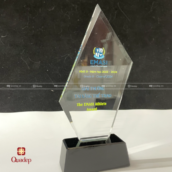 Cúp Lưu Niệm - Cúp Trao Thưởng Trường Quốc tế Emasi - Ảnh 5