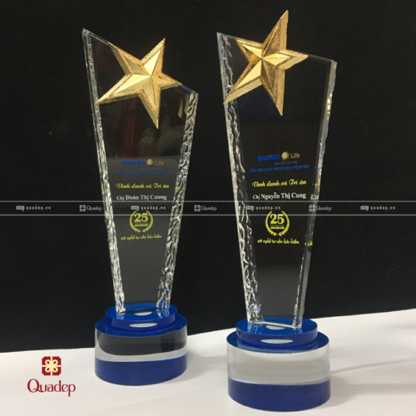 Cúp Lưu Niệm In Logo Công Ty Bảo Việt Nhân Thọ - Ảnh 4