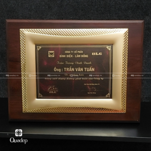 bảng vàng tri ân bằng gỗ đồng đẹp, giá rẻ tại tphcm (1)