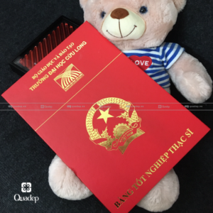 bìa bằng đại học cửu long (2)