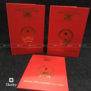 bìa bằng đại học cửu long (3)