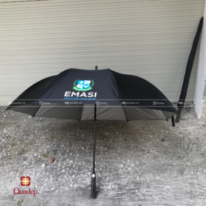 du-thang-in-logo-emasi