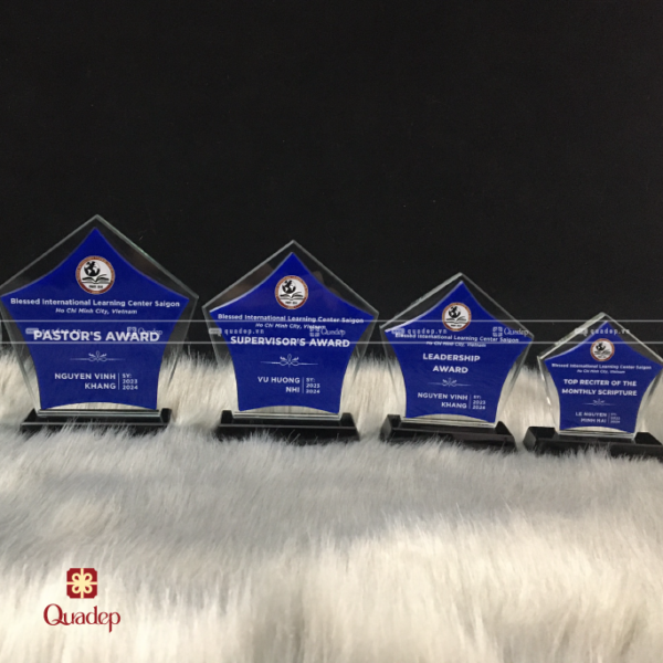 Kỷ Niệm Chương Pha Lê Trường Quốc Tế Blessed - Ảnh 2