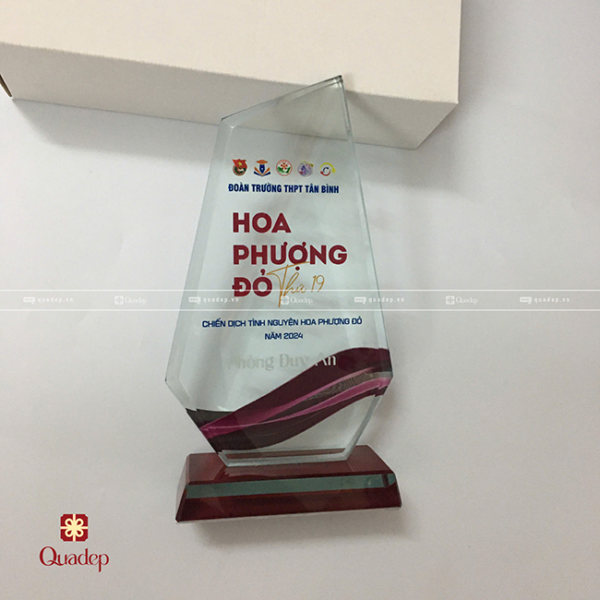 Cúp Lưu Niệm Đoàn Trường THPT Tân Bình - Ảnh 3