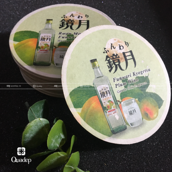 lot-ly-giay-in-hinh
