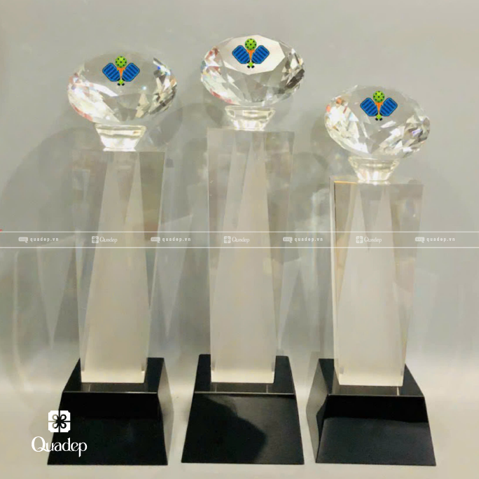 Cúp Pha Lê Lưu Niệm - Ảnh 5