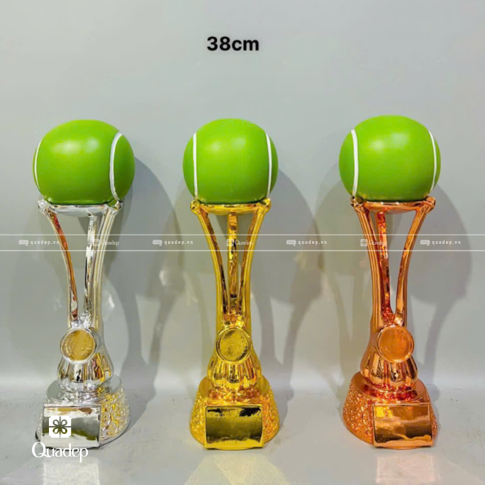 Cúp Pha Lê Lưu Niệm - Ảnh 4