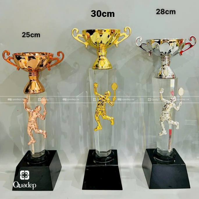 Cúp Pha Lê Lưu Niệm - Ảnh 2