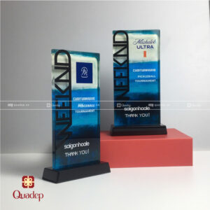 Alternative view of Kỷ Niệm Chương Pha Lê Phối Chữ Mica