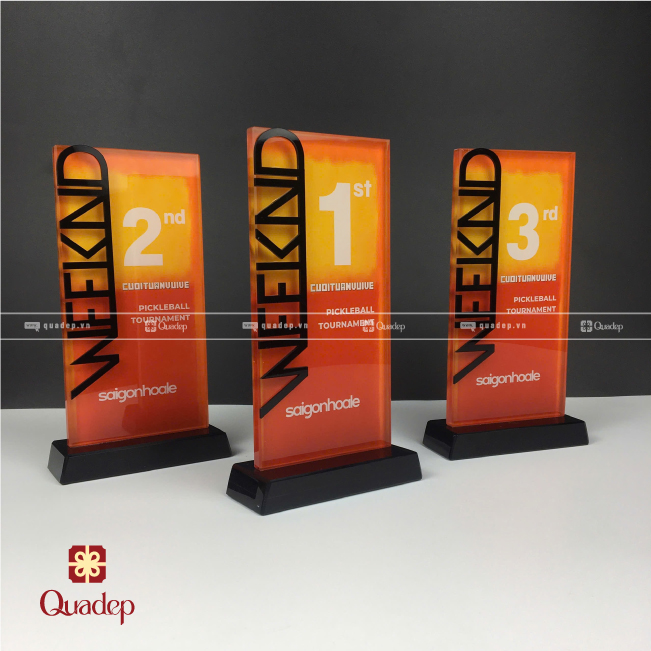 Kỷ Niệm Chương Pha Lê Phối Chữ Mica Cắt Theo Thiết Kế - Ảnh 3