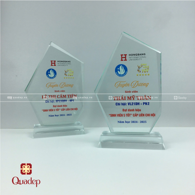 Kỷ Niệm Chương Thủy Tinh Trường Đại Học Quốc Tế Hồng Bàng - Ảnh 2