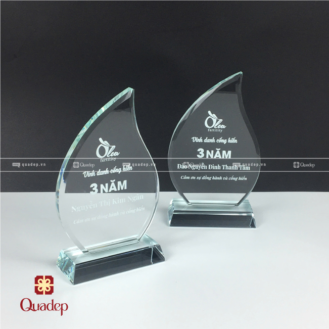 Kỷ Niệm Chương Thủy Tinh/Pha Lê Giọt Nước - Ảnh 3