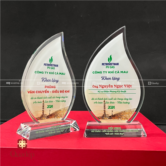 Kỷ Niệm Chương Thủy Tinh/Pha Lê Giọt Nước - Ảnh 5